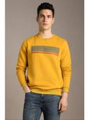 Yellow color option, Currently selected