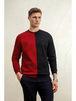 Louis Philippe - Men Multi-Color Colorblock Cotton Blend Sweatshirt