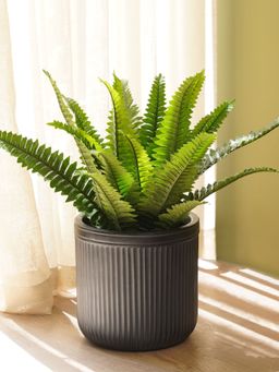 Pure Home + Living - Black Polyfibre Ribbed Pot