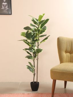 Home Bloom - Garden Artificial Rubber Plant, Fake Cane Palm Silk Tree Indoor Outdoor