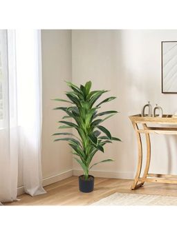 Home Bloom - Artificial Dracaena Plant 4 Feet Faux Tree with Pot Home Décor Ficus