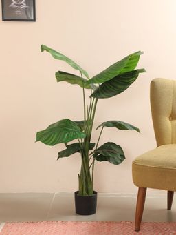 Home Bloom - Decoration Artificial Anubias barteri var. glabra Plants for