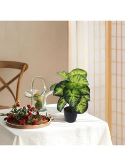 Home Bloom - Artificial Dieffenbachia Plant with Basic Black Pot 12 Green Leaves