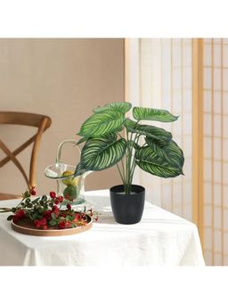 Home Bloom - Artificial Tarbooj Leaves Plant with Basic Black Pot 12 Green Leaves