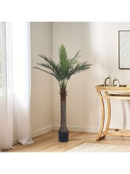Home Bloom - Decoration Artificial Areca Palm Plants for Indoor & Outdoor with Pot