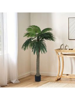 Home Bloom - Decoration Artificial Real Touch Palm Tree for Indoor & Outdoor with Pot