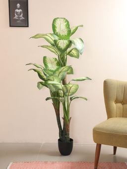 Home Bloom - Decoration Artificial Dieffenbachia Plants for Indoor & Outdoor with Pot
