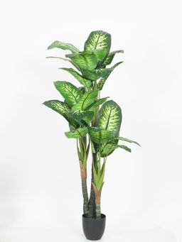 Home Bloom - Decoration Artificial Dieffenbachia Plants for Indoor & Outdoor with Pot