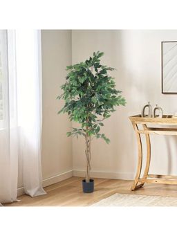 Home Bloom - Decoration Artificial Ficus Plants for Indoor & Outdoor with Pot