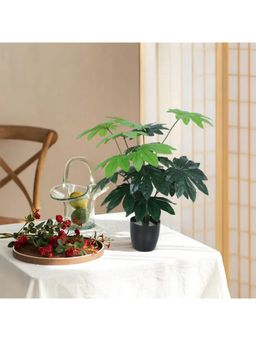 Home Bloom - Artificial Guiana Chestnut Plants for Home Decor-Office Decor-Gifting