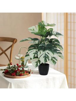 Home Bloom - Artificial Monstera Leaves for Home Decor-Office Decor-Gifting Big