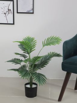 Home Bloom - Artificial Areca Palm for Home Decor-Office Decor-Gifting Big