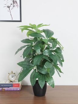 Home Bloom - Artificial Guiana Chestnut for Home Decor-Office Decor-Gifting Big