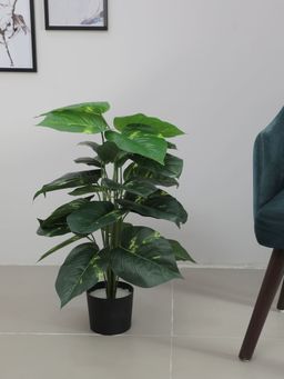 Home Bloom - Artificial Photos for Home Decor-Office Decor-Gifting Big