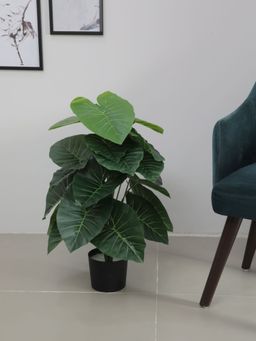 Home Bloom - Artificial Rubber Leaves for Home Decor-Office Decor-Gifting Big