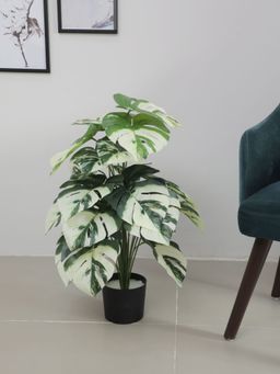 Home Bloom - Artificial Monstera Leaves for Home Decor-Office Decor-Gifting Big