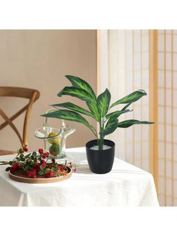 Home Bloom - Beautiful Artificial Dieffenbachia Plant Mini Bush Basic Black Pot