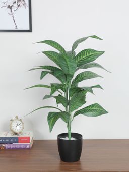Home Bloom - Polyester Artificial Green Iceton Croton Plant Ornamental Plant Artificial