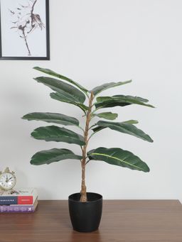 Home Bloom - Artificial Rubber Leaf Plant for Home Decor-Office Decor-Gifting