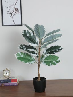 Home Bloom - Artificial Banana Leaf Plant Home Decor-Office Decor-Gifting Ornamental
