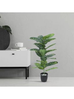 Home Bloom - Artificial Tropical Dieffenbachia Camille Plant with Basic Black Pot