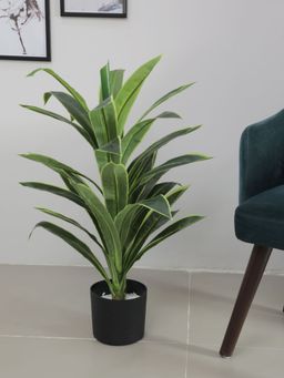 Home Bloom - 85 cm Tall Artificial Dracaena Plant Faux Tree with Perfect Housewarming