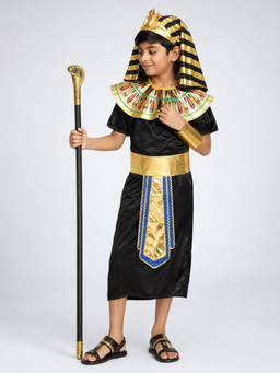Little Surprise Box - Egyptian Pharaoh Boy Halloween Costume Fancy Dress Up