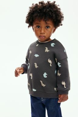 H&M - Boys Grey Printed Sweatshirt