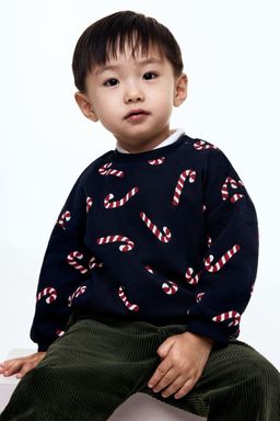 H&M - Boys Blue Printed Sweatshirt