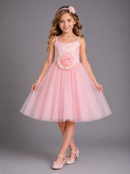 The Little Tales - Baby Pink Net 3D Floral Dress