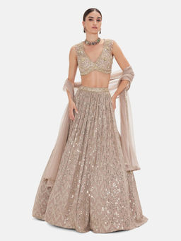Basanti Kapde aur Koffee - The Astral Refelection Brown Lehenga with Stitched Blouse and Dupatta