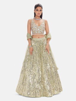 Basanti Kapde aur Koffee - The Soft Moss Green Sequins Lehenga with Stitched Blouse and Dupatta