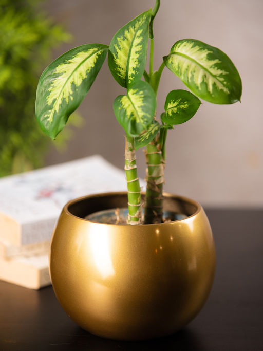 SG Home Globe Planter Gold (S)