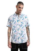 Multi-Color color option