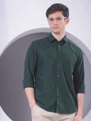 Green color option, Currently selected