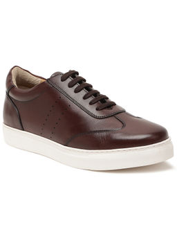 Rare Rabbit - Rabat1 Brown Lace-Up Sneakers