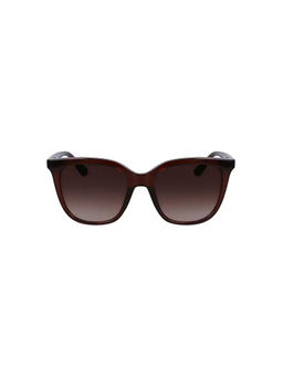 Calvin Klein - Women UV Protected Square Brown Lens Sunglasses (53)