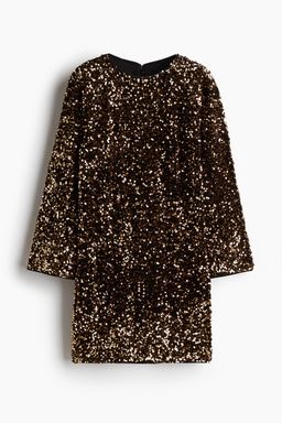 H&M - Women Brown Sequined A-Line Dress