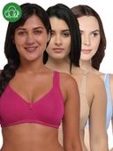 Multi-Color color option, Currently selected