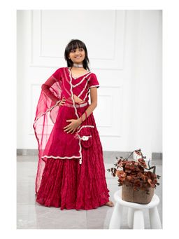 Kirti Agarwal Pret n Couture - Maroon Crush Lehenga Crop Top with Organza Dupatta