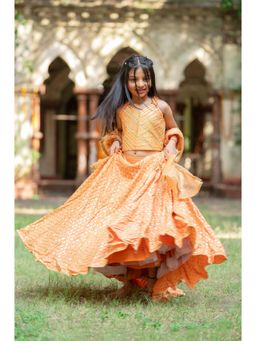 Kirti Agarwal Pret n Couture - Embroidered Crop Top with Orange Lehenga