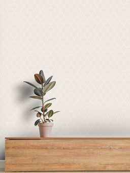 Excel - Mystical Lattice Silver White Lacework