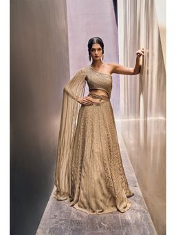 CHARU AND VASUNDHARA - Racheal Beige Embroidered Flared Gown