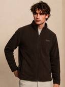 Brown color option, Sold out