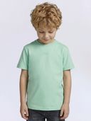 Green color option, Currently selected