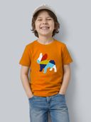 Orange color option, Currently selected