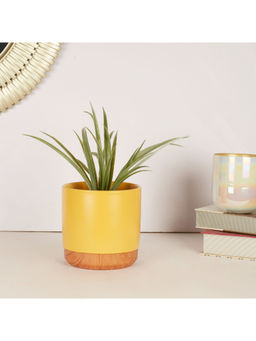 HomeTown - Alura Ceramic + Wood Planter in Mustard Colour