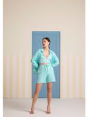 Aqua color option, Currently selected