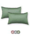 Green color option, Currently selected
