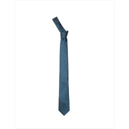 Arrow - Men Casual Printed Blue Tie